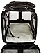 Amazon Basics Soft-Sided Mesh Pet Travel Carrier for Dog, Cat, up to 16 pounds, 16.5