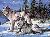 Staroar Full Drill Square Diamond Painting Kit - Wolves 34X45CM Art Craft Diamond Art
