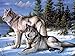Staroar Clearance 5D Diamond Painting Kits for Adults Full Drill Square - Wolves Wolf 34X45CM Cross Stitch Diamond Art Craft
