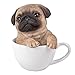 Pacific Giftware Adorable Teacup Pet Pals Puppy Collectible Figurine 5.75 Inches (Pug)