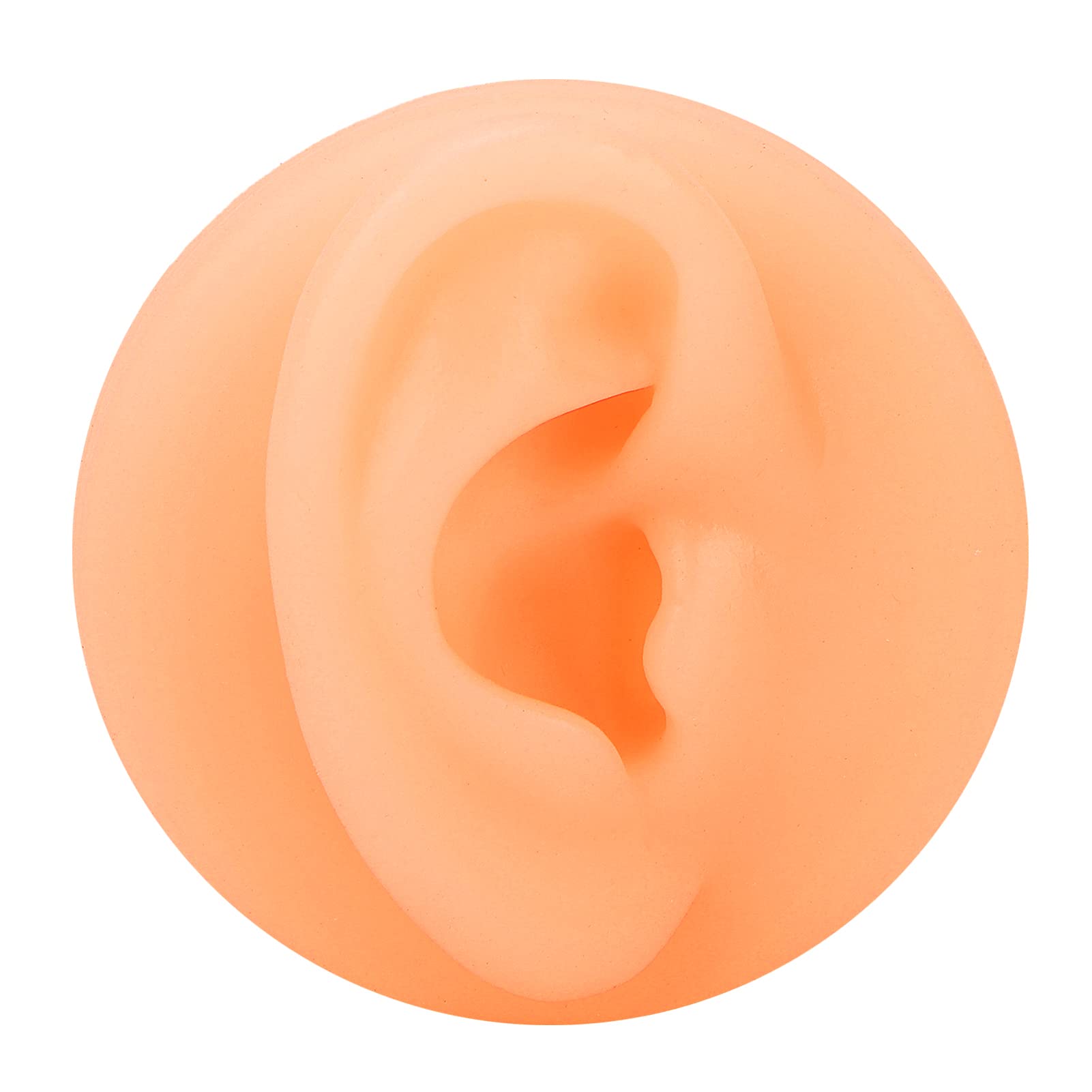 Soft Silicone Ear Model, Soft Flexible Model Fake Ear Piercing Practice, Silicone Ear Acupuncture Practice Model Reusable Simulation Ear Display Model False Ear Model (Right)