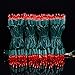 YULETIME 200 Count Red LED Christmas Lights, 66 Feet Green Wire UL Certified Commercial Grade Holiday String Light Set (Red)
