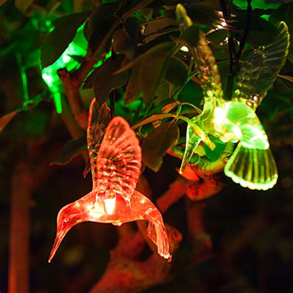 hummingbird string lights