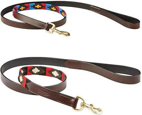 polo dog lead