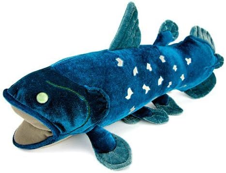 Realistic stuffed animal Coelacanth (M size) by Karorata stuffed
