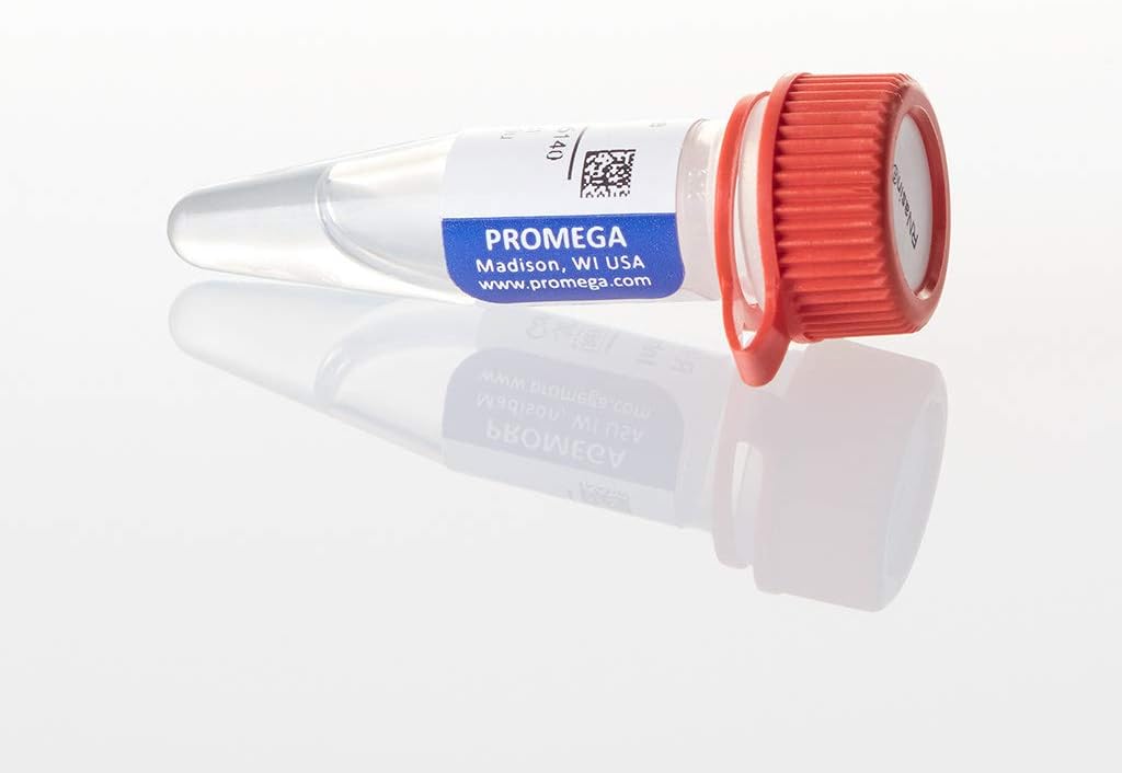RNasin Ribonuclease Inhibitor, 10,000u