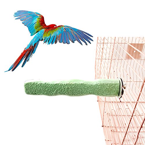 Gaweb Stone Perch Paw Grinding Stick Flat Stand Platform Toy for Bird Parrot Macaw African Grey Budgie Parakeet Cockatiel Conure Lovebird Finch Cage Decor