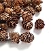 BYHER Pine Cones, Mini Pinecones in Bulk for Crafts, 8OZ, Pack of 110 (Natural)