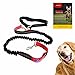 forepets Hands Free Dog Leash for Running Walking Hiking Training. Retractable Bungee Double Handle with Waist Belt for Large Medium and Small Dogs
