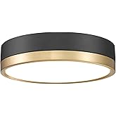 Z-Lite 1006F12-MB-MGLD-LED Algar Flush Mount, 1-Light 24 Watts, Matte Black + Modern Gold