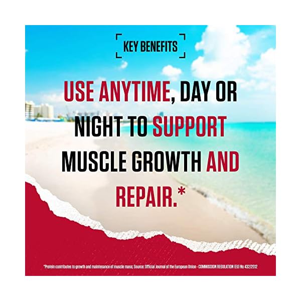 BSN Nutrition Protein Powder Syntha 6 Edge Low Carb and Sugar Whey Protein Shake with Whey Protein Isolate, Micellar…