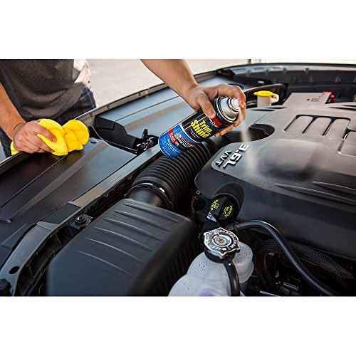 Stoner Car Care 9103412PK Trim Shine Protectant 144Fluid Ounces 12