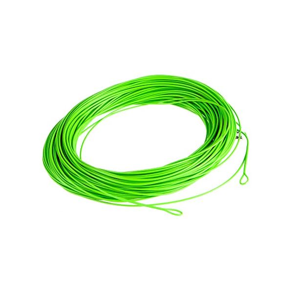SF-Fly-Fishing-Weight-Forward-Floating-Line-Green-100FT