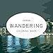 Urban Wandering Coloring Book by Joe Stauffer