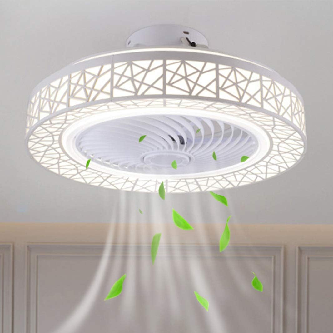 Ceiling Fan with LED Lighting, Fan Light with Remote Control Dimmable