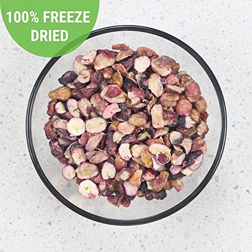 Nutristore Freeze Dried Grapes 4 Pack 10 Can Fruit Perfect Healthy