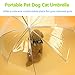 Moore Transparent Umbrella with Built-in Leash Pet Dog Puppy Dry Comfortable in Rain