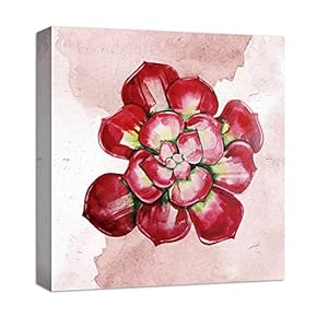 Rosy Red Succulent - Canvas Art