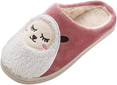 cute bedroom shoes