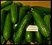 (20) Hybrid seeds Persian Cucumber,Lebanese (Cucumis sativus), bitter free, burpless and seedless by KITCHENSEEDS