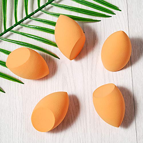 5 Pcs Makeup sponges Set Blender Beauty Cosmetics Tool Flawless Facial Powder Puff Foundation Sponge Professional Applicator Egg Shaped Latex-Free Suit for All Skin Type (002)