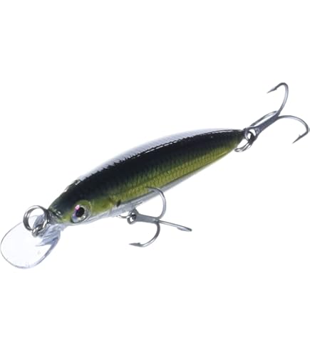 Amazon.com: Rapala X-Rap 08 Fishing lure, 3.125-Inch, Moss