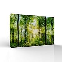 signwin-Canvas Wall Art-Sunshine in The Forest -Canvas Prints Home Artwork Decoration for Living Room,Bedroom - 12x18 inches