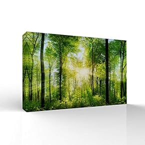Canvas Wall Art-Sunshine in The Forest -Canvas Prints Home Artwork Decoration for Living Room,Bedroom - 12x18 inches