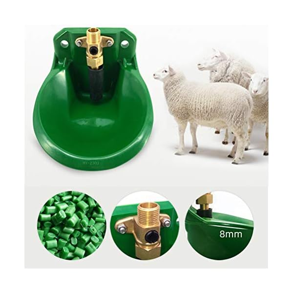 Yardwe Alimentatore Automatico per capre Cavalli bovini Pecore Mucche maiali Bestiame Animali (Verde) Yardwe Alimentatore Automatico per capre Cavalli bovini Pecore Mucche maiali Bestiame Animali (Verde)
