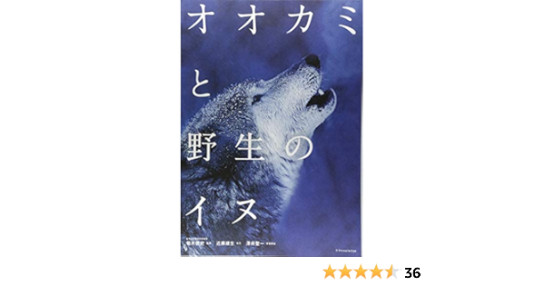 オオカミと野生のイヌ Amazon Com Books