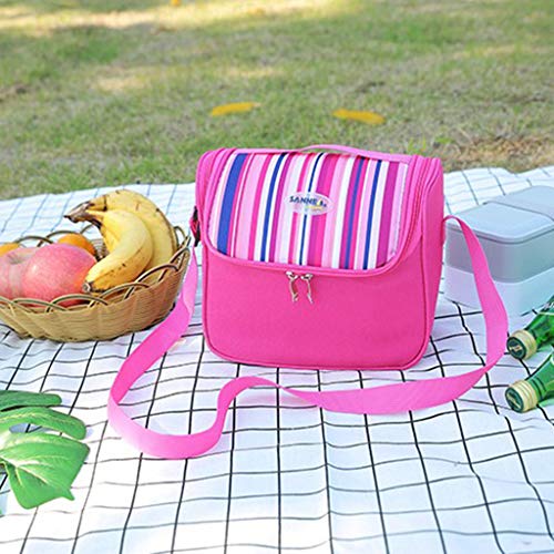 Tronet Reusable Lunch Bags Insulated Cooler Lunch Bag Camping Picnic Box Shoulder Thermal Double Layer