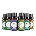 Vena Beauty 100% Pure Aromatherapy Essential Oil Set of 6, Therapeutic Grade