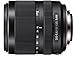 Sony SAL18135 18-135mm f/3.5-5.6 Zoom Lens