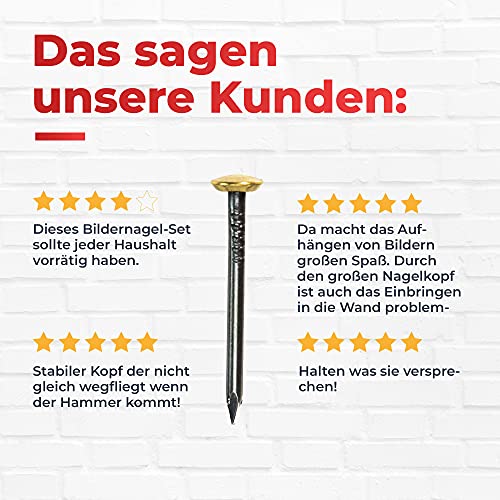 RIKAMA® – 50 Bildernägel im Mix aus je 10 x 20mm, 25mm, 30mm, 40mm, 50mm – Stahlnägel mit 6 mm Messingkopf als Bilder… – Bild 7