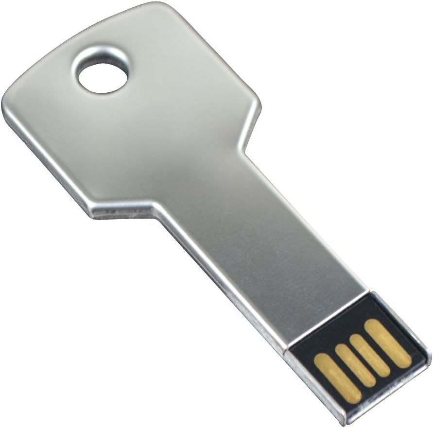 Maxidea 16GB Key Shape USB 2.0 Flash Drive - Silver - 100% PenDrive (16GB, Silver)