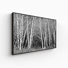 Canvas Wall Art for Living Room, Bedroom Monochrome Plants Framed Canvas Prints for Home Decoration Ready to Hang - 16x24 inches