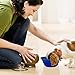 AZCAMP Collapsible Dog Bowls (2-Pack), for Camping and Travel/Outdoor Enthusiasts & Pet Lovers, Food-Grade Silicone, BPA-Free