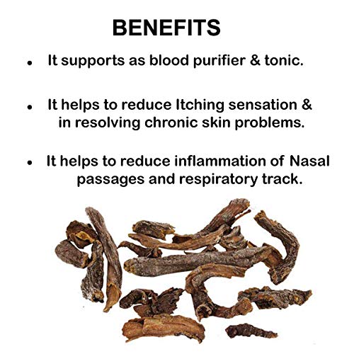 Yellow Dock Root Powder 1 Pound / 16 Oz (Rumex Crispus) Herbal