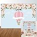 Allenjoy 7x5ft Hot Air Balloon Backdrop Up Up & Away Background Pink Baby Shower It's a Girl Newborn Floral Birthday Party Supply Dessert Candy Cake Table Decor Decoration Banner Photo Shoot Booth