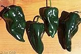 Pepper , Poblano Pepper seeds, Organic , NON GMO, 25 seeds per pack, mild chili pepper originating in the state of Puebla, Mexico