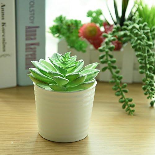KUUQA 16 piezas de plantas artificiales carnosas mixtas, tallos de ...