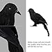 Halloween Black Feathered Crow Realistic Decorations Birds Figurine Statue Model (1PCS)