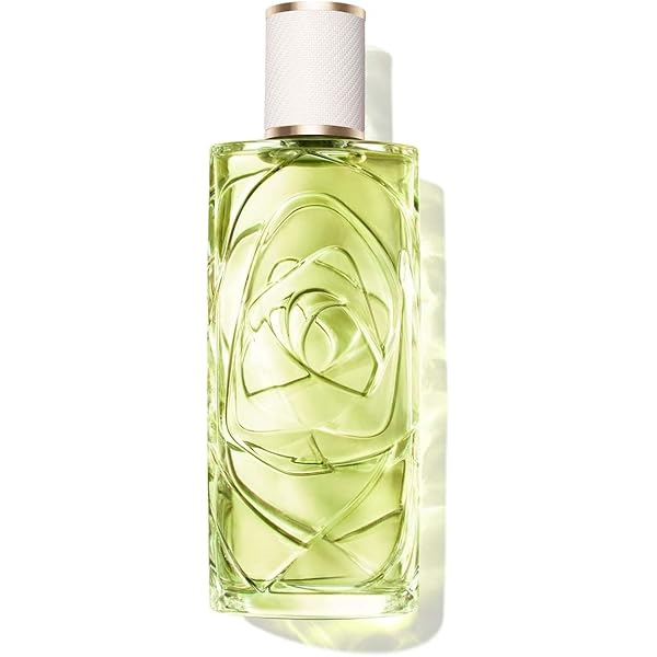 ランコム OVER THE TOP 100mL o de lancome over the top eau de toilette 100ml - delaUz