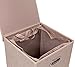 BirdRock Home Single Laundry Hamper with Lid and Removable Liner | Linen | Easily Transport Laundry | Foldable Hamper | Cut Out Handles