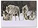 BANBERRY DESIGNS Light Up Wolf Picture - Wolves LED Lighted Canvas Print - Wolf Pack in a Winter Scenn - Wolf Home Decor - Grey Wolves in a Snowy Forest Scene - 16x12 Inch