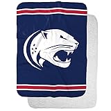 University of South Alabama Primary Logo Stripes