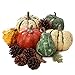 Factory Direct Craft Artificial Autumn Gourds, Pumpkins and Natural Pine Cones - Fall Decorating Kit