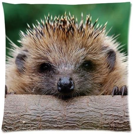 Home Style Hedgehog Pattern Zippered Pillow Case Decor Cushion Covers Square 20" x 20" Inch (Twin Sides)