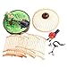 Liberty Imports Singing and Chirping Bird Toy in Cage – Realistic Sounds and Movements – Sound Activatedthumb 4