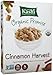 Kashi Organic Promise Cereal - Cinnamon Harvest - 16.3 oz